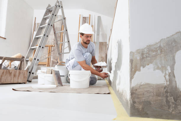Best Water Damage & Mold Remediation  in Nampa, ID