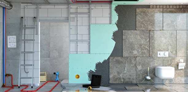 Best Attic Mold Removal  in Nampa, ID