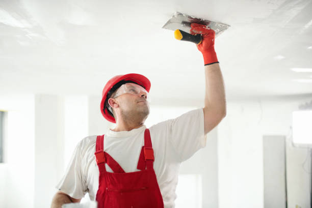 Best Comprehensive Air Testing for Mold Contaminants  in Nampa, ID