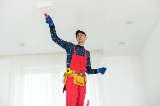 Best Dehumidification Services  in Nampa, ID