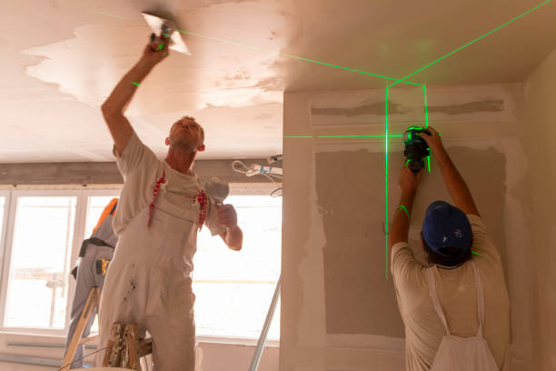 Best Environmental Consulting for Mold Prevention  in Nampa, ID