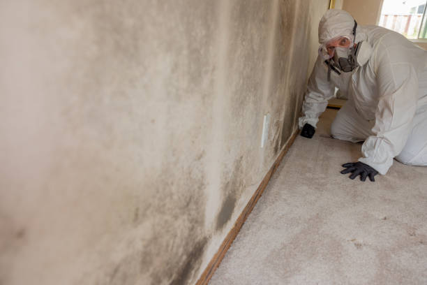 Best Airborne Mold Testing  in Nampa, ID
